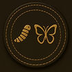Life Transitions Icon
